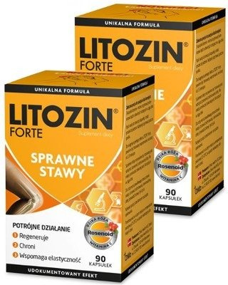 Litozin Forte x 90 kaps.