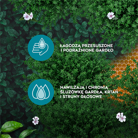 AMOLowe na gardło z miodem i witaminą C 16 pastylek do ssania 