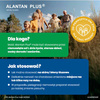 Alantan Plus maść (20mg+50mg)/g 100 g