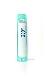 BOIRON Ledum Palustre 200 CH granulki 4g