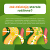Danacol Plus 21 saszetek po 15 ml